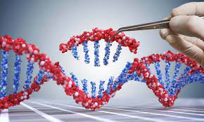 Gene Therapy for Macular Degeneration positive results