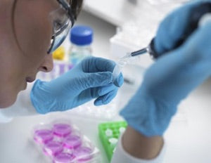 New therapy being developed to help reverse vision loss
