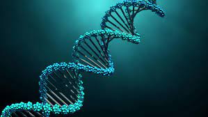 Damaging DNA buildup in eyes of those with macular degeneration can lead to blindness