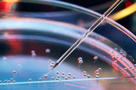 Gene therapy technique may offer hope as a glaucoma treatment