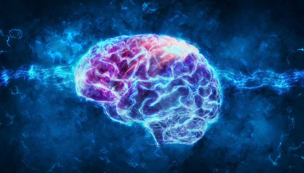 5 Things to Support Good Brain Health