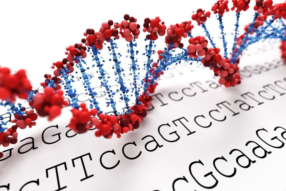 Genetic link between COVID risk and macular-degeneration