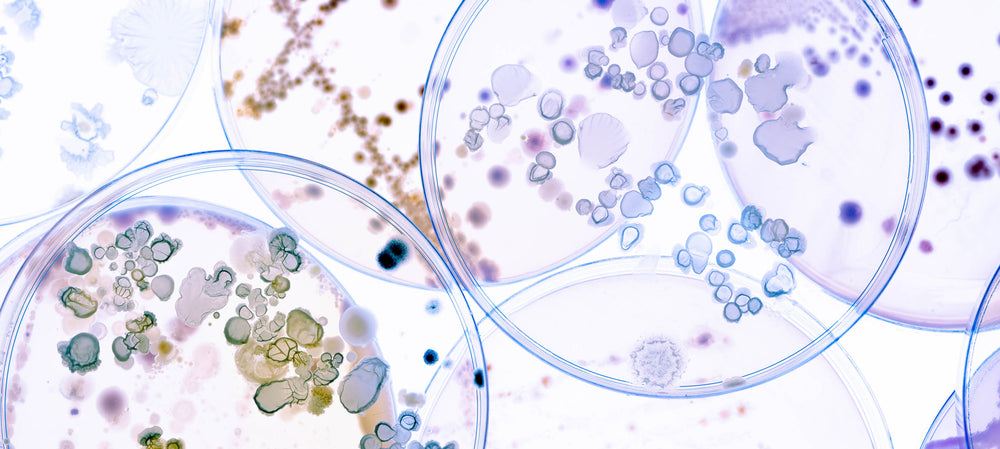 Showering with contacts can lead to serious eye infection