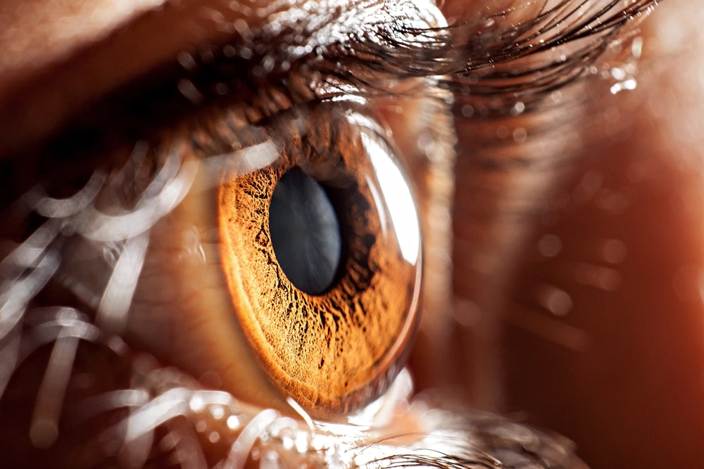 In the blink of an eye: blinking too much or too little can be a sign of health issues