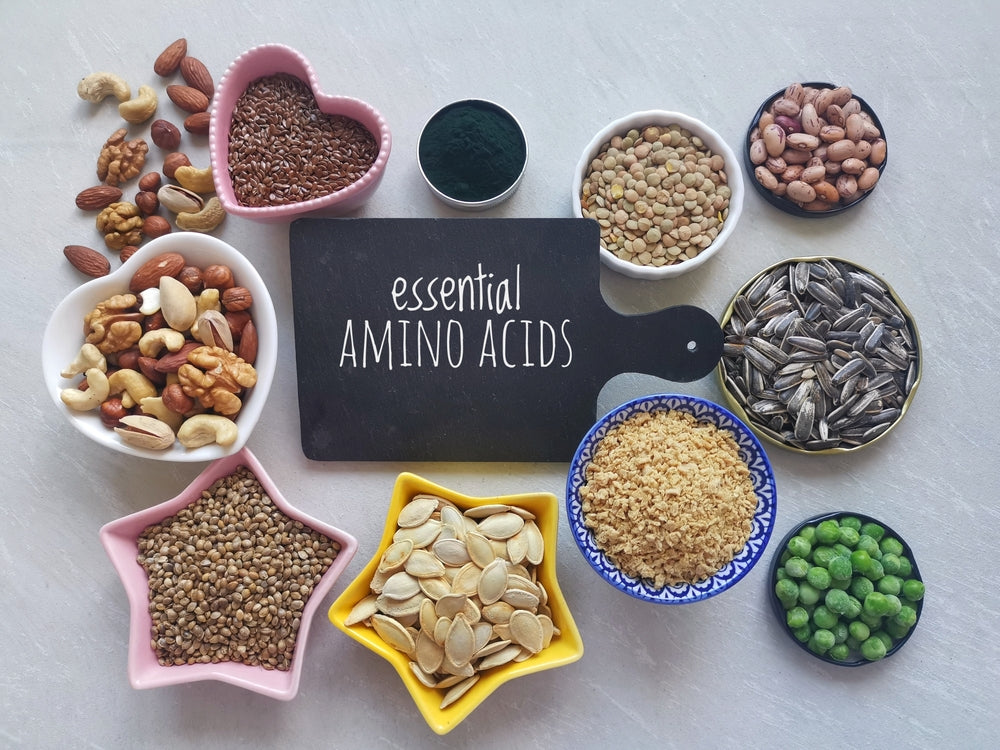 Proper balance of amino acids key in photoreceptor health