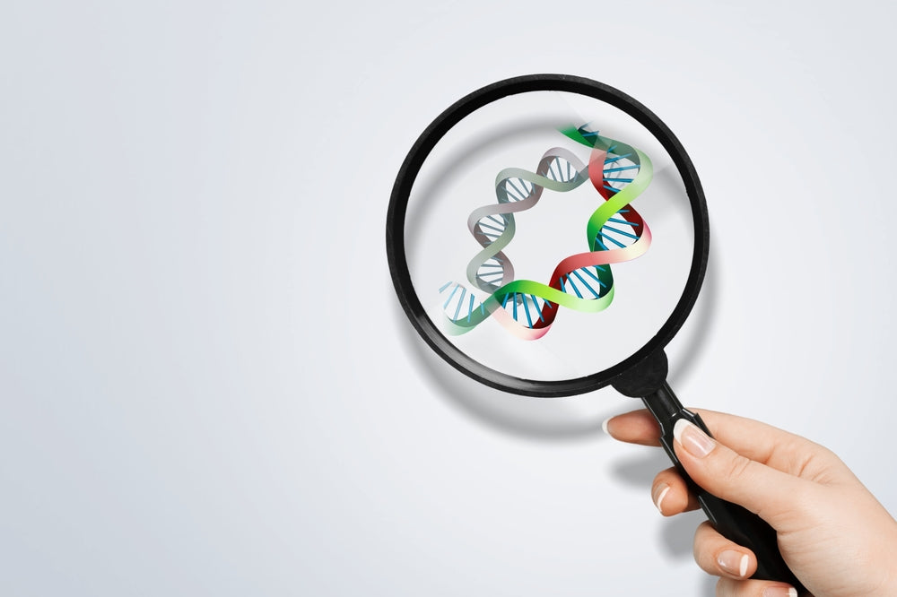 New genetic risk linked to severe macular degeneration.