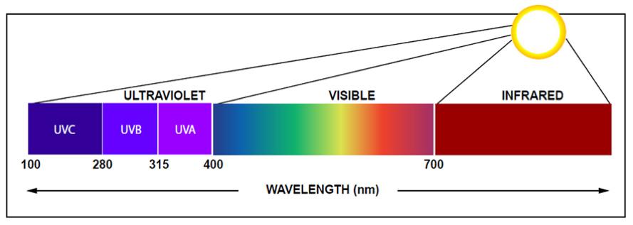 Lutein and Zeaxanthin for Blue Light Protection